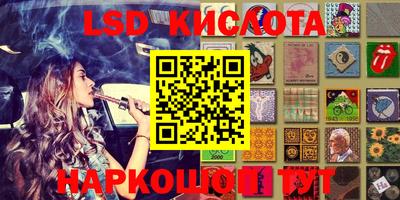 прущие грибы Кулебаки