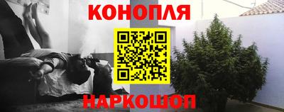 прущие грибы Кулебаки