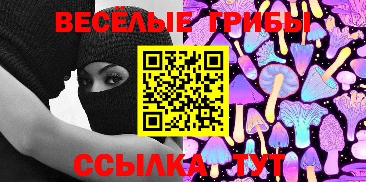 Фурманов  Псилоцибиновые грибы MAGIC MUSHROOMS  Вход с VPN 